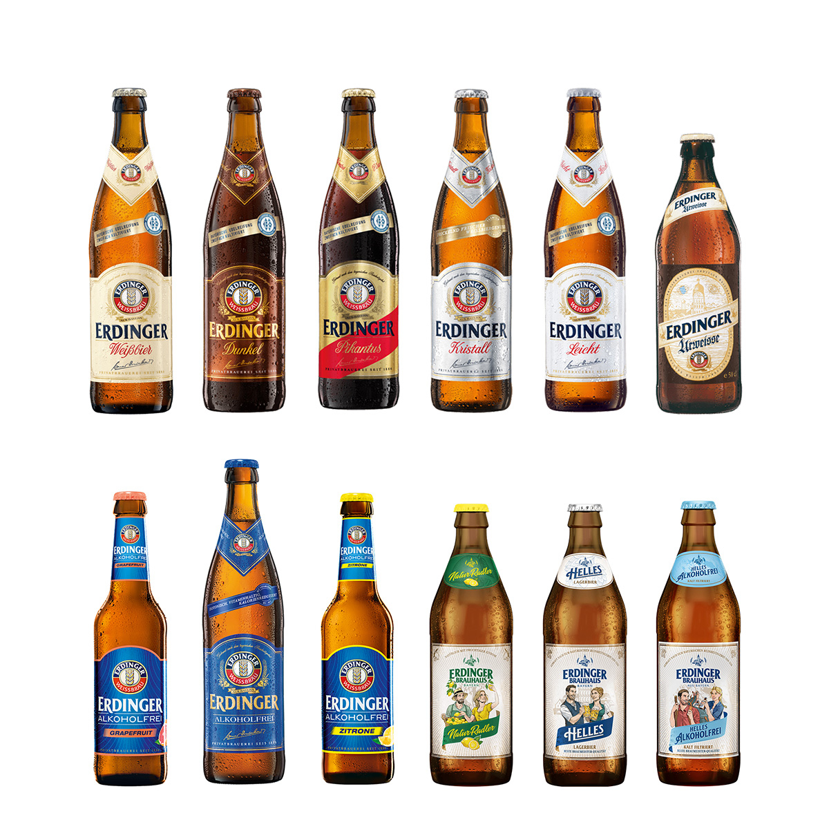 ERDINGER Probierpaket - 12 Flaschen